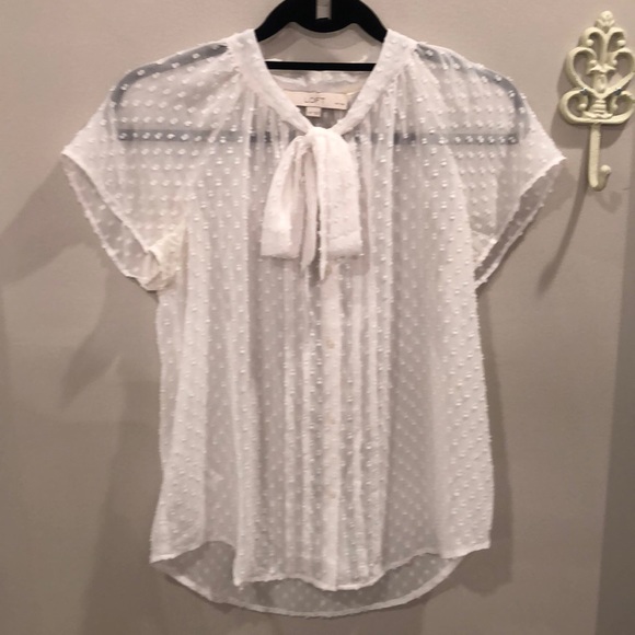 Ann Taylor Loft Sheer Blouse - Picture 1 of 4